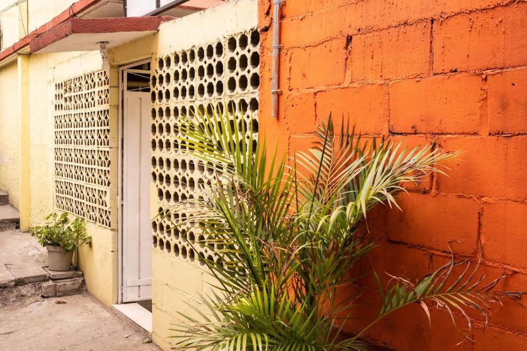 3 Bd House Steps From Santo Domingo Leilighet Oaxaca Eksteriør bilde